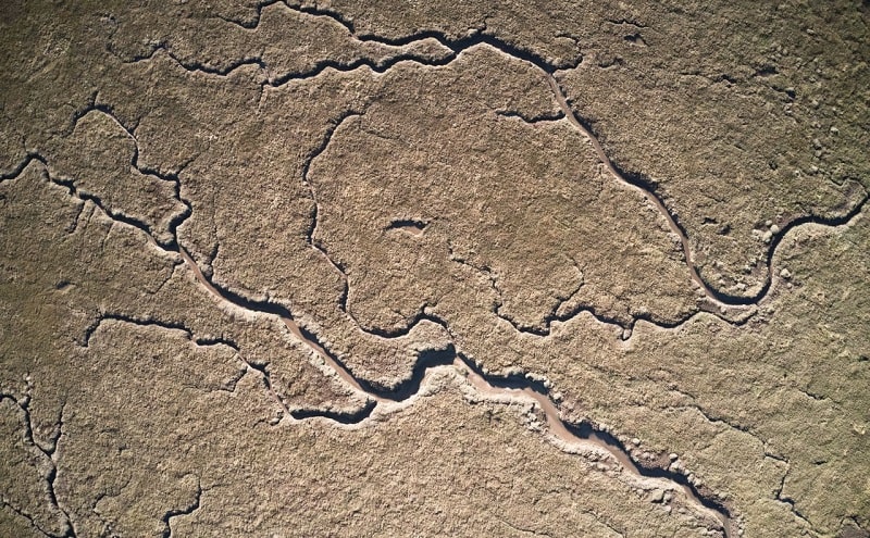 Абстракции на болотах Норфолка 