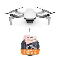 Квадрокоптер DJI Mini SE 